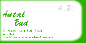 antal bud business card